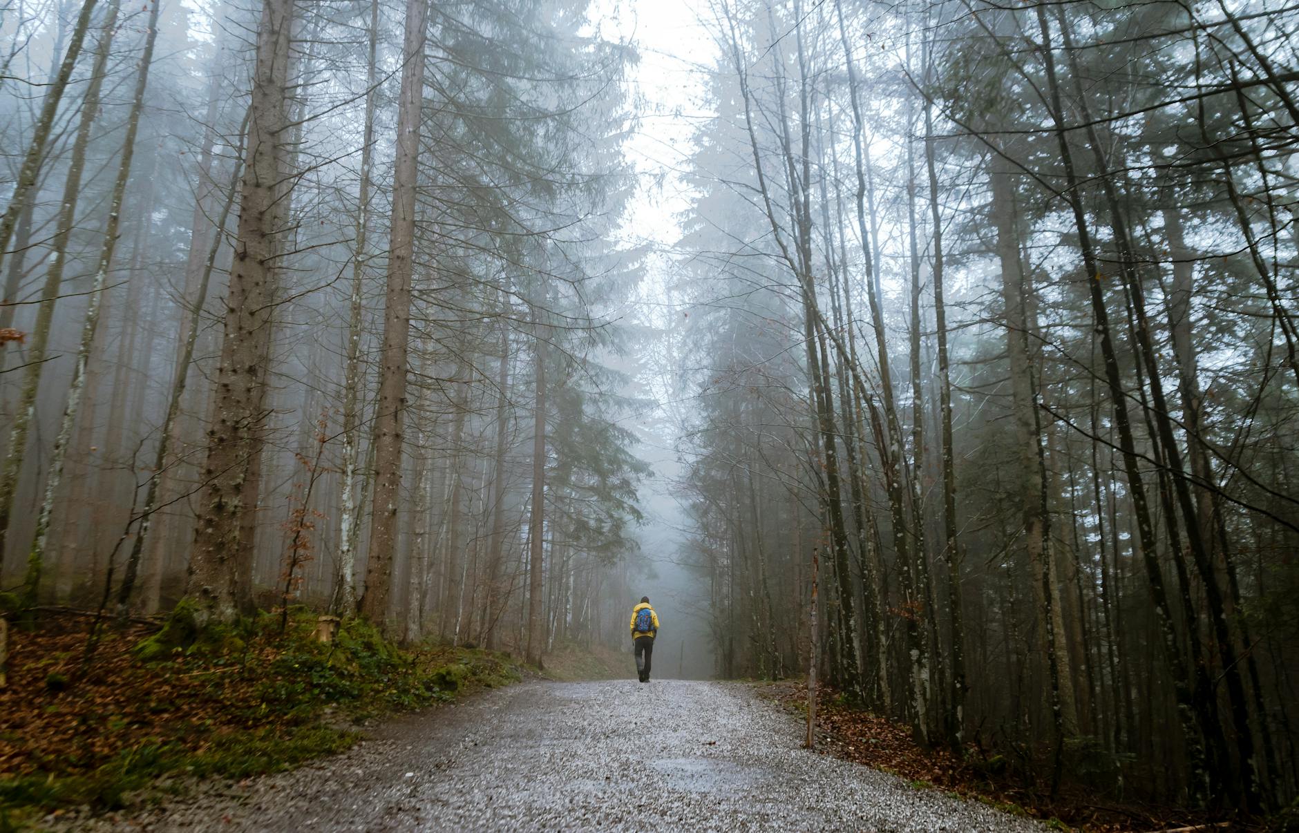The Journey of Discipleship: Following in the Footsteps of Jesus