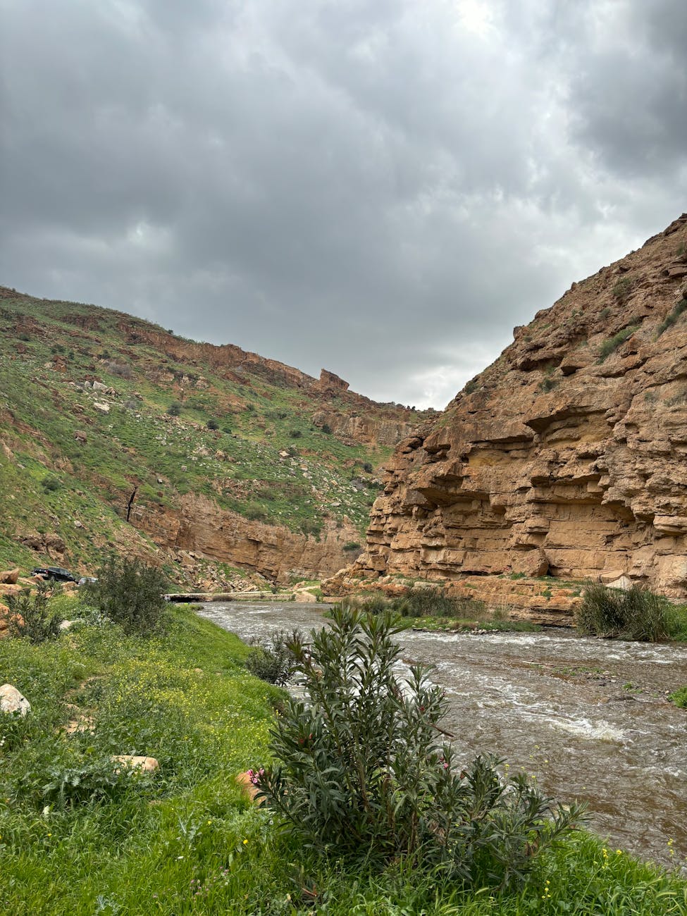 Entering the Kingdom: A Call to True Repentance